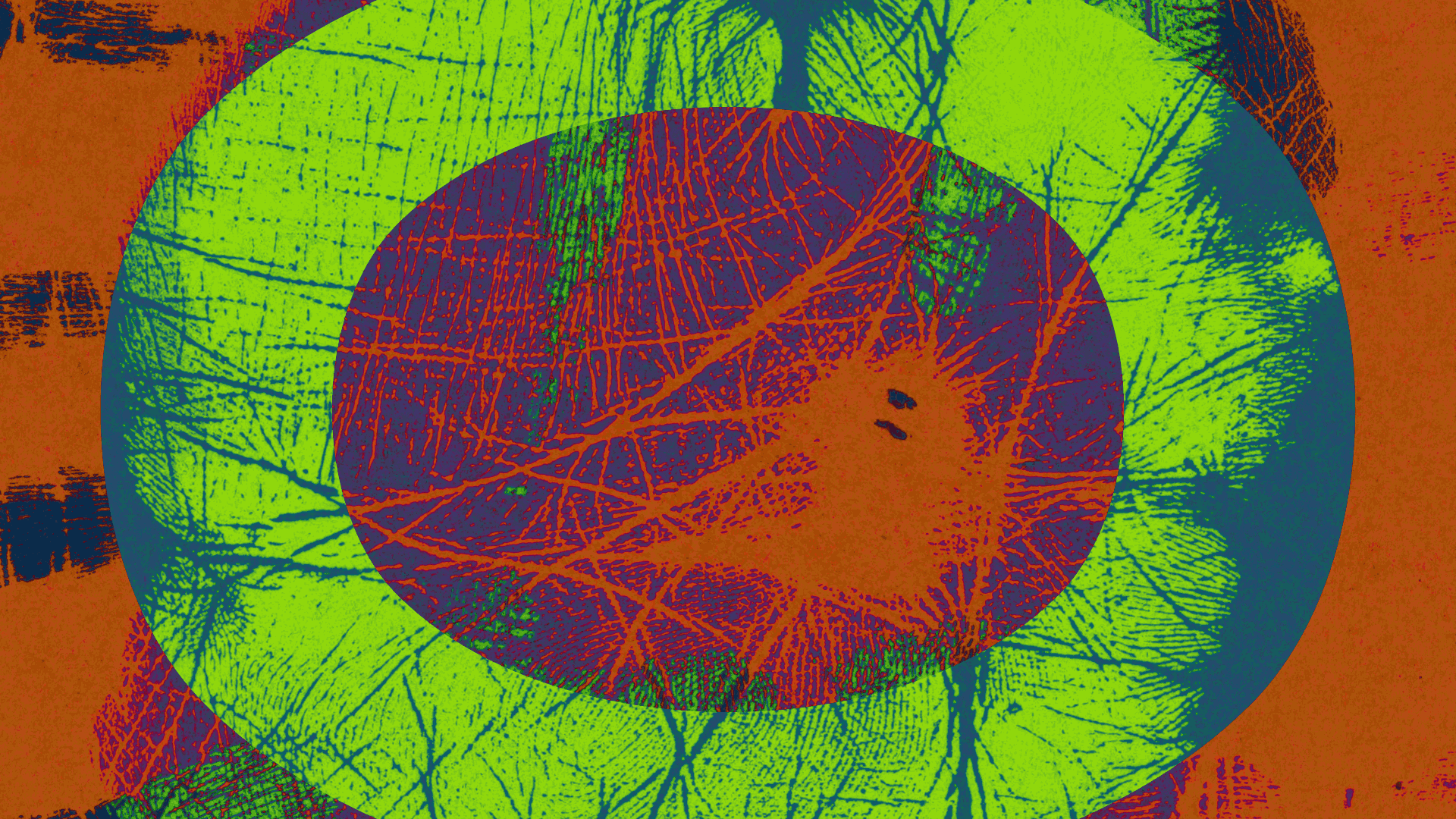 Banner con il titolo