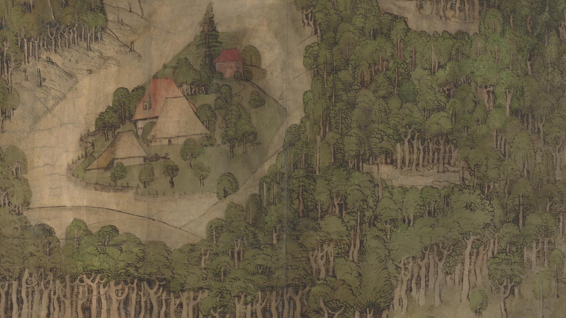 Banner con il titolo