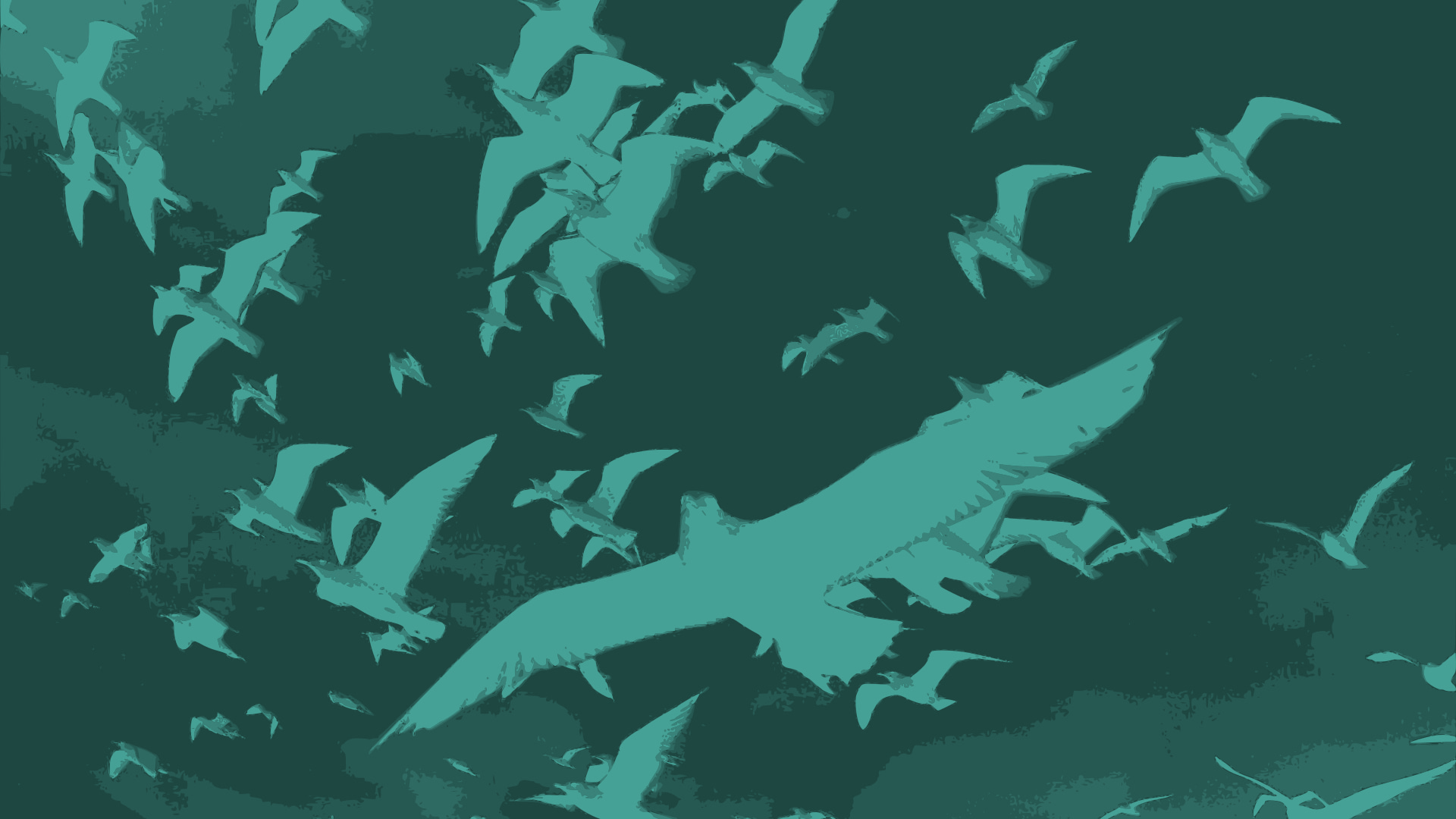 Banner con il titolo